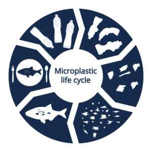 Microplastic life cycle